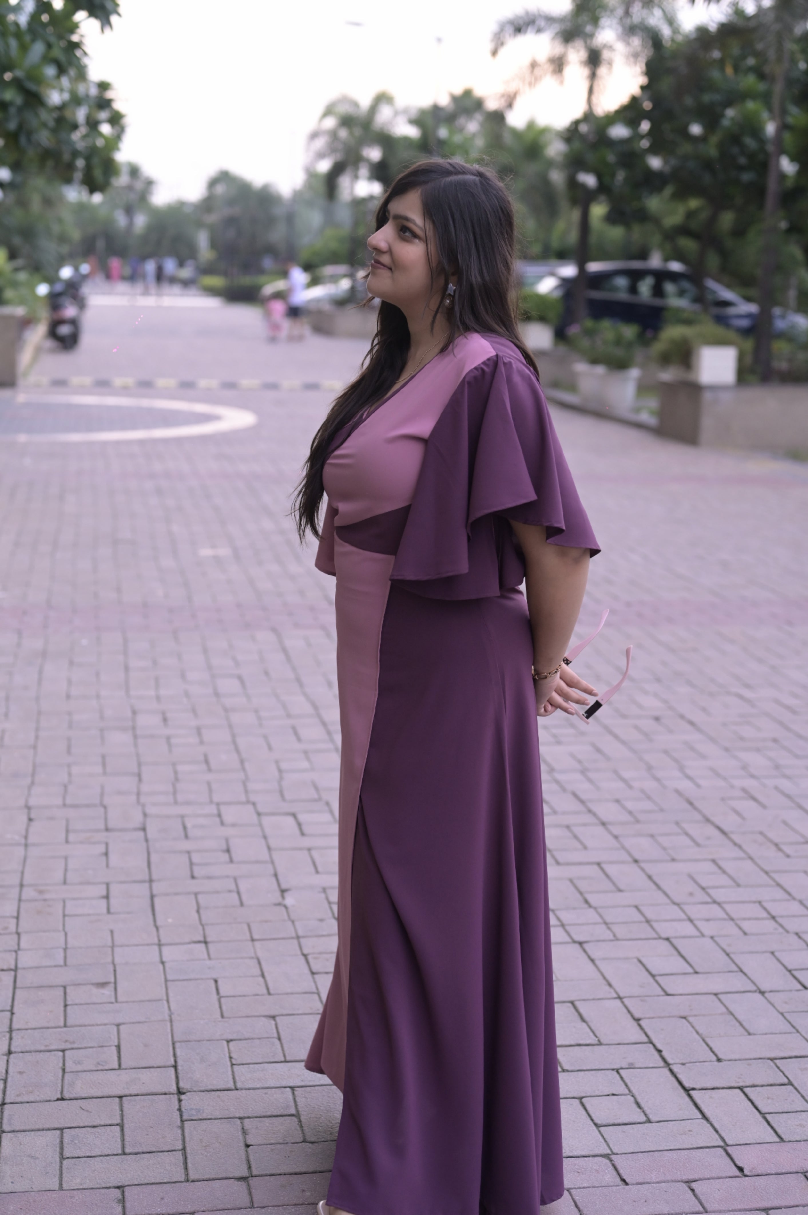 Plum Aura Dress